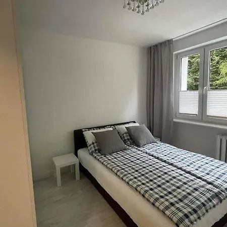 Apartment Forest Apartment, Mazowiecka St. !